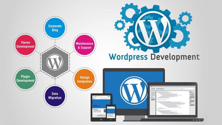 Custom Wordpress Website Design